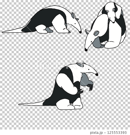 ミナミコアリクイのイラスト 125553393
