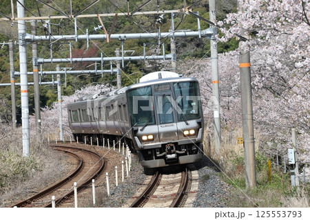 223系2000番台　区間快速 125553793