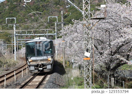 223系0番台リニューアル電車 223系0番台リニューアル電車 125553794