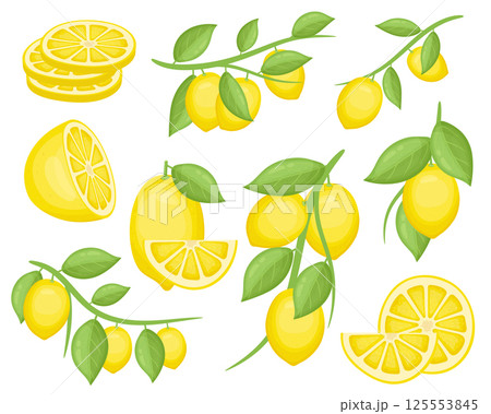 Lemon fruit clipart design illustration Lemon fruit clipart design illustration 125553845