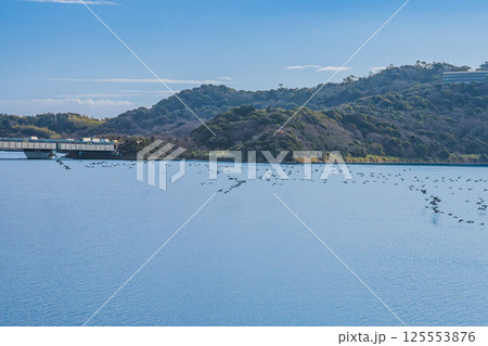 青空に映える遠江八景「寸座落雁」浜松市の浜名湖サービスエリア(静岡県) 125553876