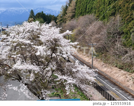 JR赤倉温泉駅の満開の桜 空撮 JR赤倉温泉駅の満開の桜 空撮 125553918