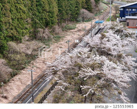JR赤倉温泉駅の満開の桜　空撮 125553965