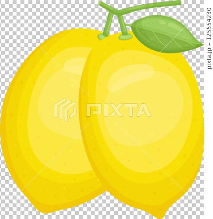 Two vibrant yellow lemons, perfect for summer drinks or baking. Two vibrant yellow lemons, perfect for summer drinks or baking. 125554230