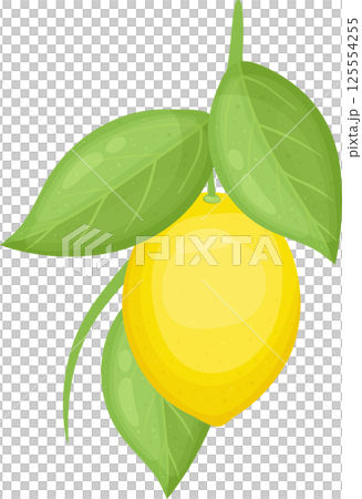 Cartoon lemon with green leaves on a branch, vibrant and fresh. 125554255