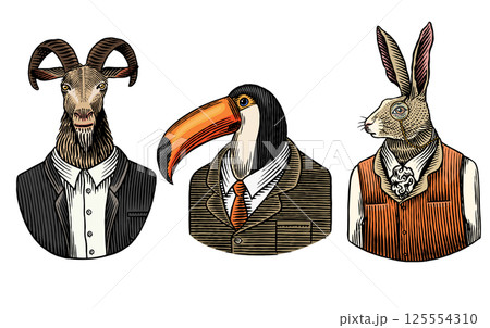 3 different animals and birds in humans clothes and suits. Toucan bird, rabbit or hare and goat for 125554310