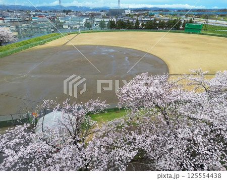 桜満開の野球場　空撮 125554438