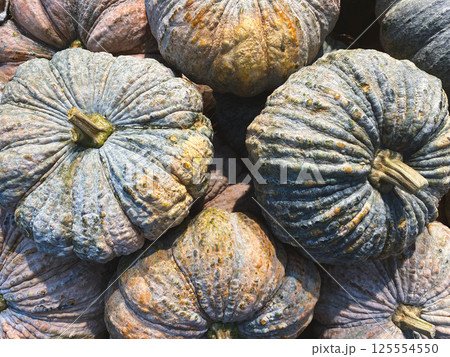 A pile of rugged, textured pumpkins with natural green and orange hues, displaying their rustic charm and earthy beauty. A pile of rugged, textured pumpkins with natural green and orange hues, displaying their rustic charm and earthy beauty. 125554550