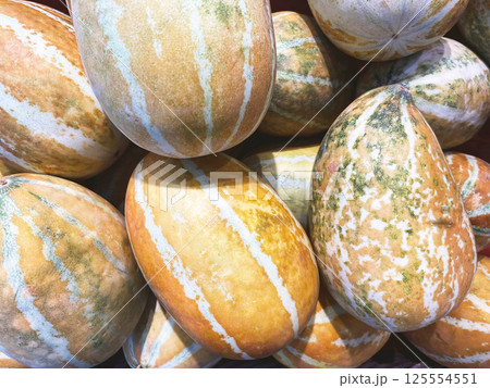 A vibrant pile of striped cucumbers (Tindora or Ivy Gourd) with a mix of orange, green, and white hues, showing their natural and rustic textures. 125554551