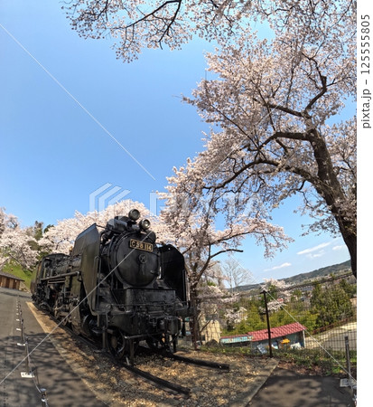 桜満開の公園のSL 125555805