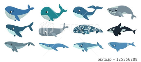 Cartoon whales. Isolated cute whale, underwater animals for children stickers or book. Funny creatures, water mammals, classy vector characters 125556289