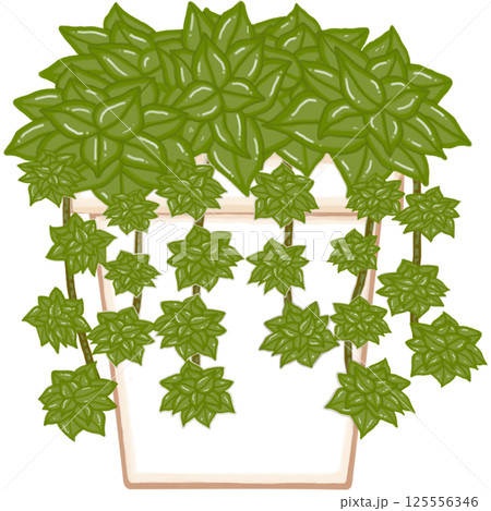 Beautiful green plant are growing up in a brown tall terracotta pot for decorate home and garden. 125556346