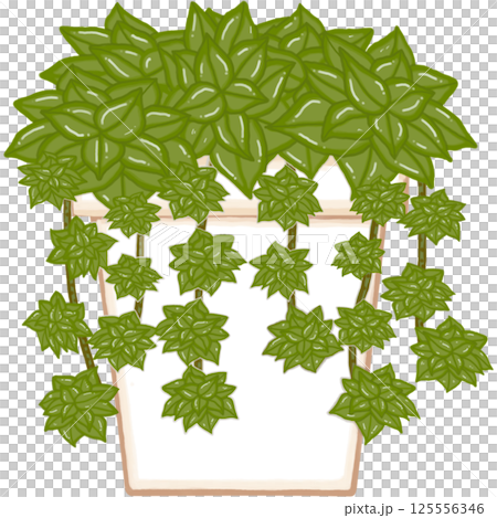 Beautiful green plant are growing up in a brown tall terracotta pot for decorate home and garden. 125556346