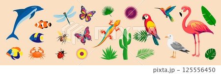 Tropical Wildlife Tropical Wildlife 125556450