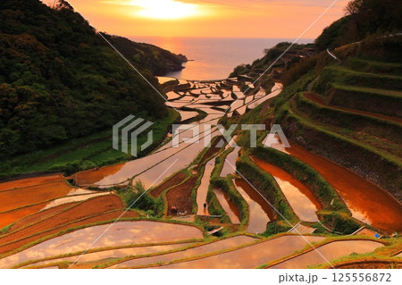 【佐賀県】浜野浦の棚田の夕景 【佐賀県】浜野浦の棚田の夕景 125556872