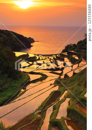 【佐賀県】浜野浦の棚田の夕景 125556880