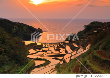 【佐賀県】浜野浦の棚田の夕景 【佐賀県】浜野浦の棚田の夕景 125556882