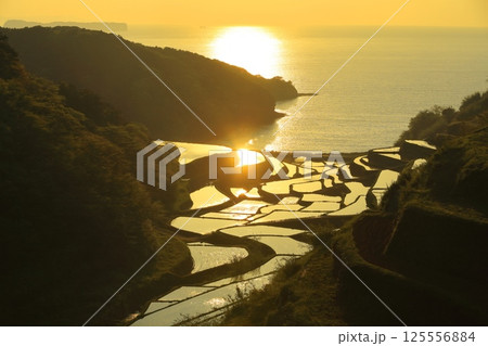 【佐賀県】浜野浦の棚田の夕景 125556884