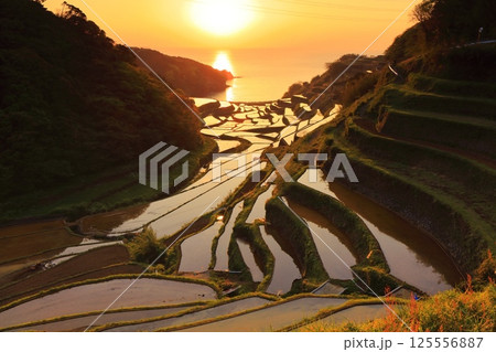【佐賀県】浜野浦の棚田の夕景 125556887