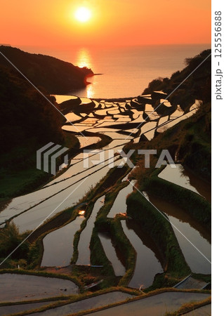【佐賀県】浜野浦の棚田の夕景 【佐賀県】浜野浦の棚田の夕景 125556888