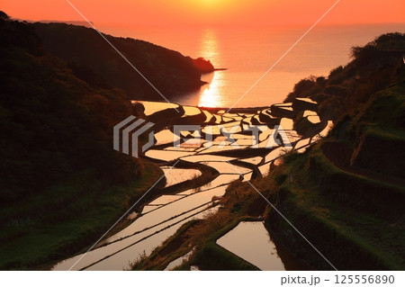 【佐賀県】浜野浦の棚田の夕景 【佐賀県】浜野浦の棚田の夕景 125556890