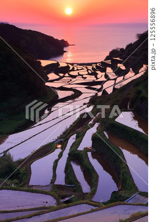 【佐賀県】浜野浦の棚田の夕景 【佐賀県】浜野浦の棚田の夕景 125556896