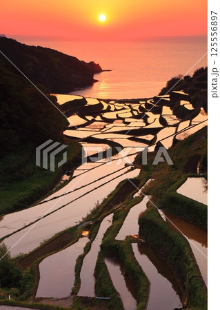 【佐賀県】浜野浦の棚田の夕景 【佐賀県】浜野浦の棚田の夕景 125556897