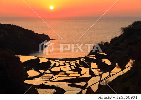 【佐賀県】浜野浦の棚田の夕景 125556901