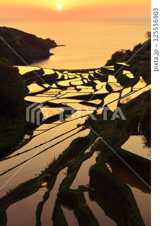 【佐賀県】浜野浦の棚田の夕景 125556903