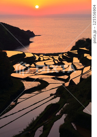 【佐賀県】浜野浦の棚田の夕景 125556904