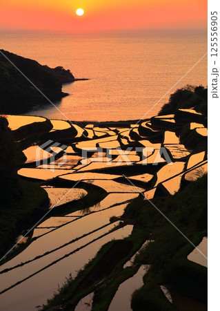 【佐賀県】浜野浦の棚田の夕景 125556905