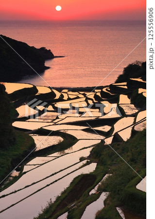 【佐賀県】浜野浦の棚田の夕景 125556906