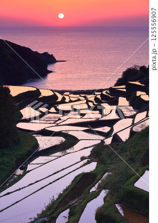 【佐賀県】浜野浦の棚田の夕景 【佐賀県】浜野浦の棚田の夕景 125556907