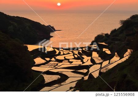 【佐賀県】浜野浦の棚田の夕景 125556908