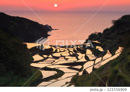 【佐賀県】浜野浦の棚田の夕景 【佐賀県】浜野浦の棚田の夕景 125556909