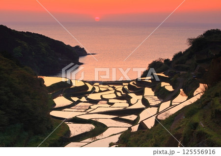 【佐賀県】浜野浦の棚田の夕景 【佐賀県】浜野浦の棚田の夕景 125556916