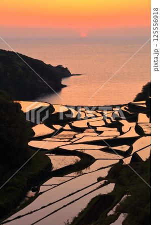 【佐賀県】浜野浦の棚田の夕景 125556918