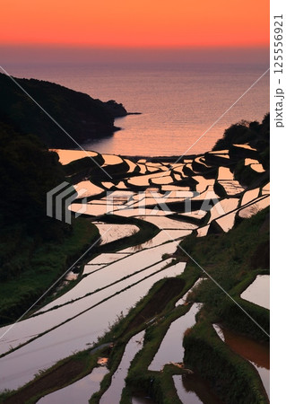 【佐賀県】浜野浦の棚田の夕景 【佐賀県】浜野浦の棚田の夕景 125556921