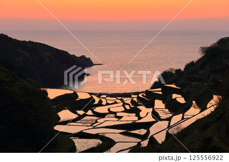 【佐賀県】浜野浦の棚田の夕景 【佐賀県】浜野浦の棚田の夕景 125556922