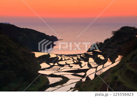 【佐賀県】浜野浦の棚田の夕景 125556923