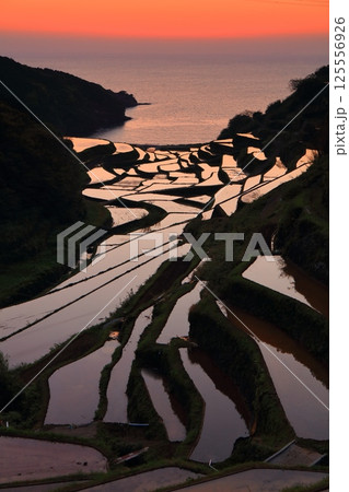 【佐賀県】浜野浦の棚田の夕景 125556926