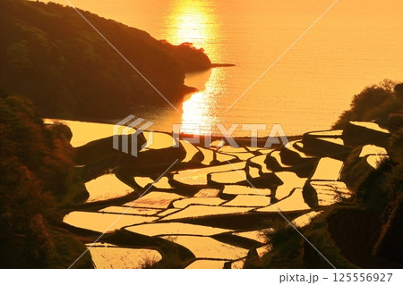 【佐賀県】浜野浦の棚田の夕景 125556927