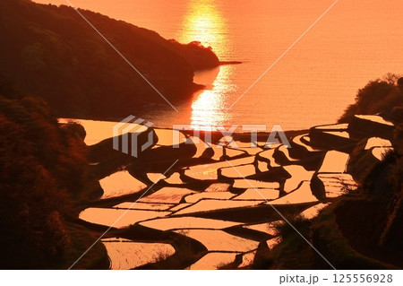 【佐賀県】浜野浦の棚田の夕景 【佐賀県】浜野浦の棚田の夕景 125556928