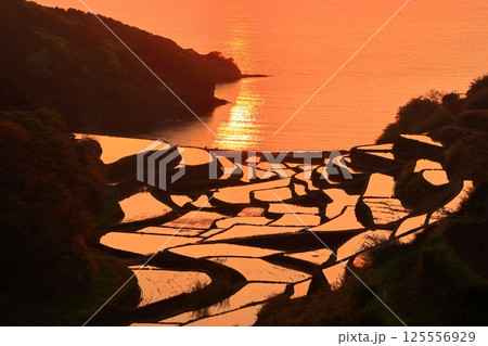 【佐賀県】浜野浦の棚田の夕景 【佐賀県】浜野浦の棚田の夕景 125556929