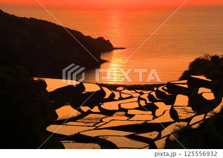 【佐賀県】浜野浦の棚田の夕景 【佐賀県】浜野浦の棚田の夕景 125556932