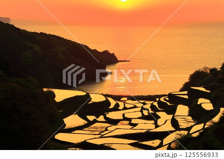 【佐賀県】浜野浦の棚田の夕景 125556933