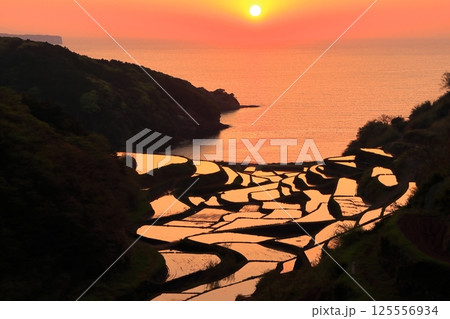 【佐賀県】浜野浦の棚田の夕景 125556934