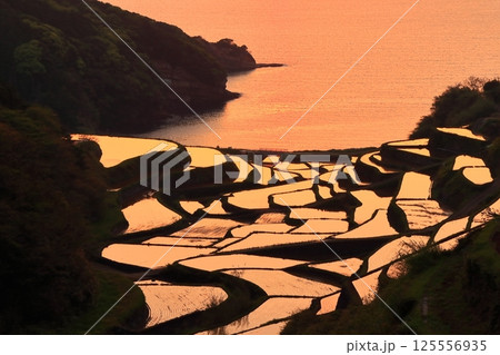【佐賀県】浜野浦の棚田の夕景 125556935