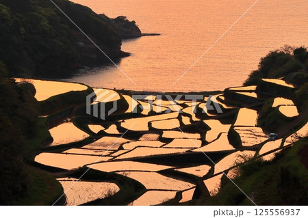 【佐賀県】浜野浦の棚田の夕景 125556937