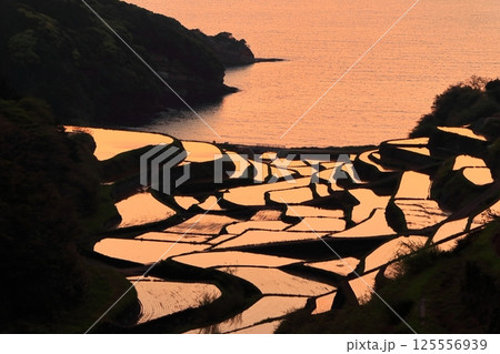 【佐賀県】浜野浦の棚田の夕景 125556939